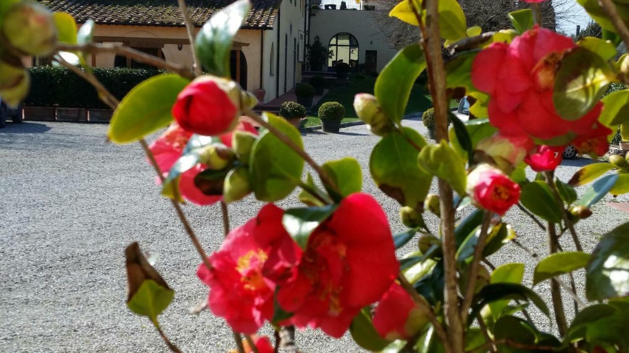 Villa Casale Di Valle à Vinci Extérieur photo